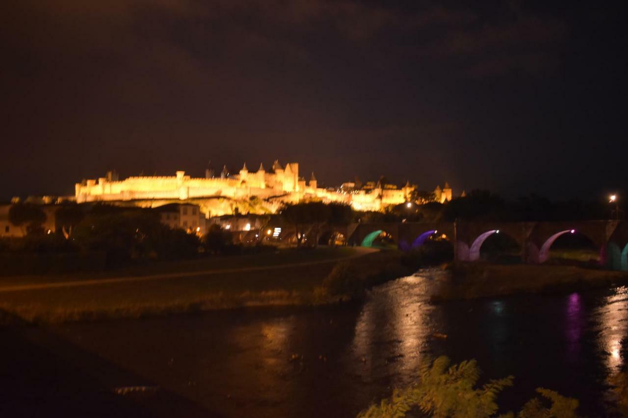 L'Or Vert, Castle View, Private Parking, Air Conditioner, Netflix, 160M From Medieval Town カルカソンヌ エクステリア 写真